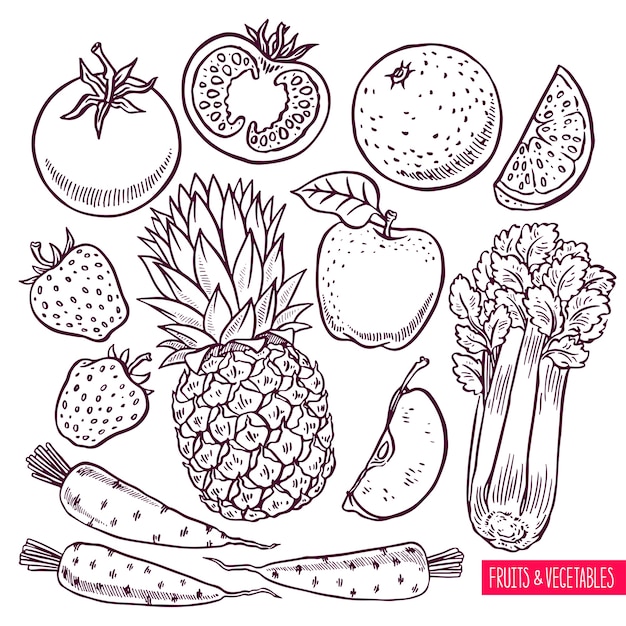 Conjunto de croquis de frutas y verduras. ilustración dibujada a mano