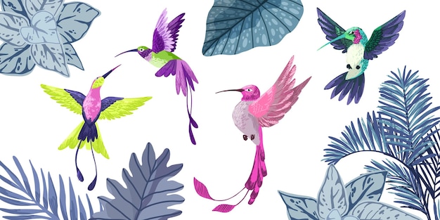 Conjunto, de, cuatro, colibríes, mano, dibujado, vector