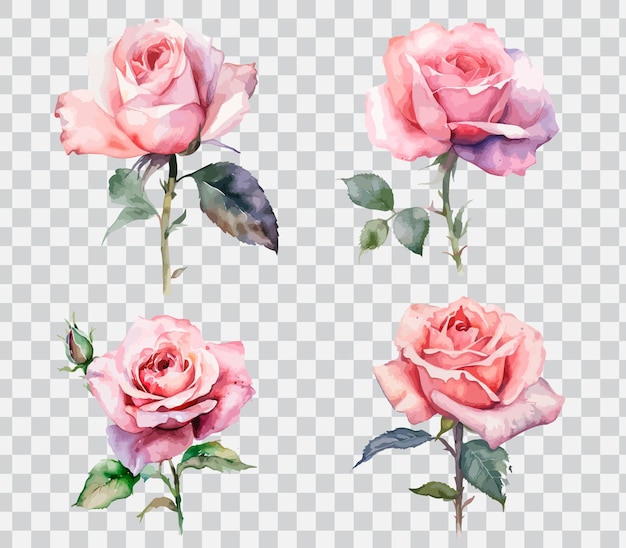 Un conjunto de cuatro rosas rosadas con hojas verdes.