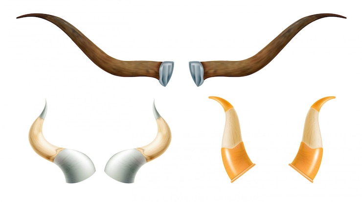 Vector conjunto de cuernos de animales salvajes.