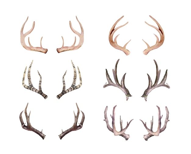 Conjunto de cuernos de venado vintage dibujados a mano de acuarela Ilustración hipster de estilo ecológico en blanco