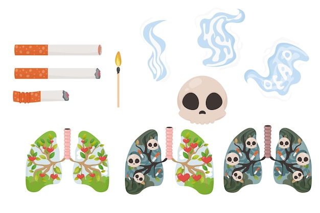 El conjunto de daños del tabaquismo día sin tabaco cráneo cigarrillos pulmones humo ilustración vectorial sobre fondo blanco