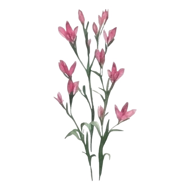 Conjunto de decoración floral Arreglos botánicos con flores coloridas rama de hojas Elementos florales para tarjetas de felicitación de boda o diseño de composición de logotipo Ilustración vectorial