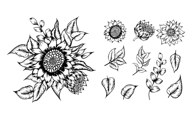 Vector conjunto de decoración de ramo de girasoles dibujados a mano de línea