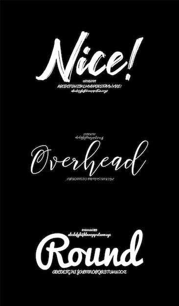 Conjunto decorativo Creative Vector Script Pincel pantalla Alfabeto fuentes paquete de diseño Ilustración vectorial