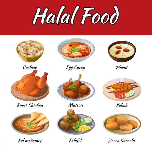 Conjunto de deliciosa y famosa comida de Halal en colorido