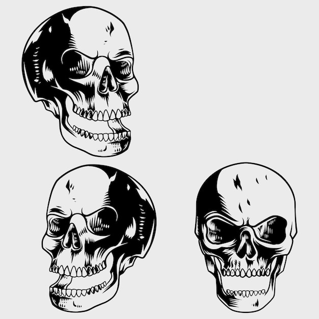 conjunto detallado de imágenes de calaveras con varias poses