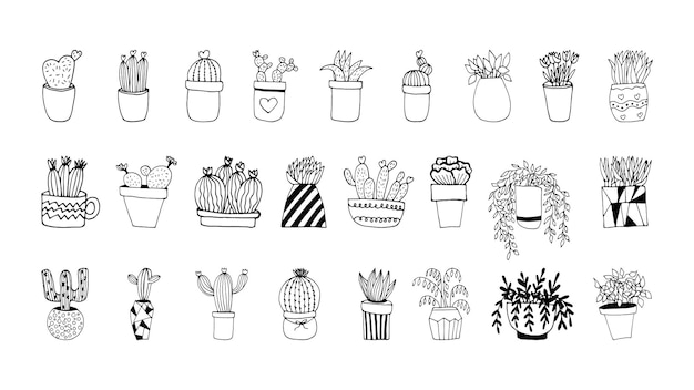 Conjunto dibujado a mano de cactus y macetas de flores Plantas de casa de ilustración de Doodle