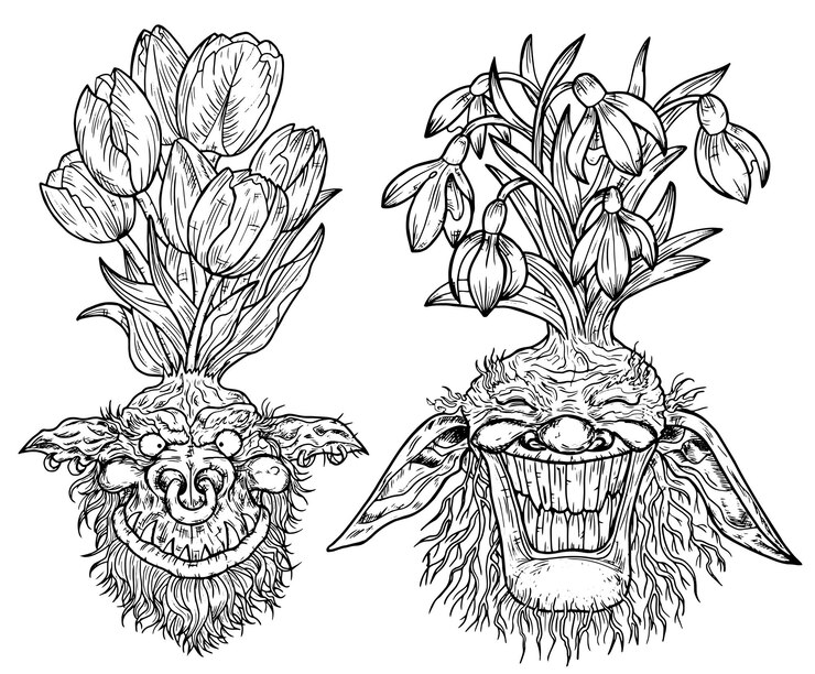 Vector conjunto dibujado a mano con caras de gnomos divertidos como raíces de hermosas flores de primavera de galanthus y tulipán