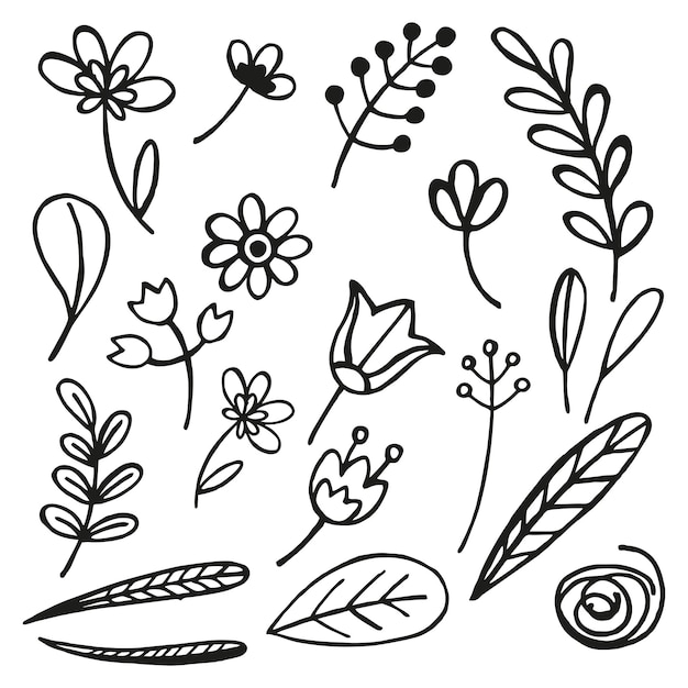 Conjunto dibujado a mano de plantas vectoriales brunch de flores boceto de hojas flores brotes hierbas silueta de hojas en tinta ilustración monocromática aislada sobre fondo blanco