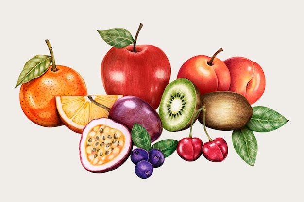 Vector conjunto de dibujado a mano de vector vintage de fruta orgánica
