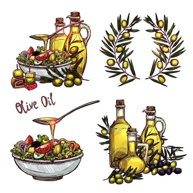 Vector conjunto de dibujo de aceite de oliva aislado en blanco