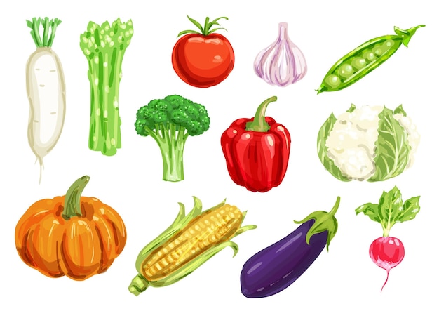 Vector conjunto de dibujo de acuarela de vegetales frescos