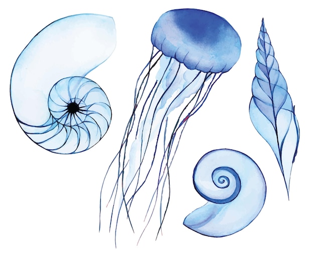 Conjunto de dibujo de acuarela de vida marina concha molusco medusa transparente animales marinos xray