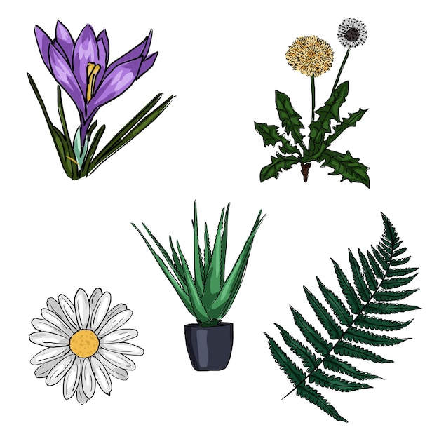 Vector conjunto de dibujo de dibujos animados de flores de colores dibujados sobre un fondo blanco