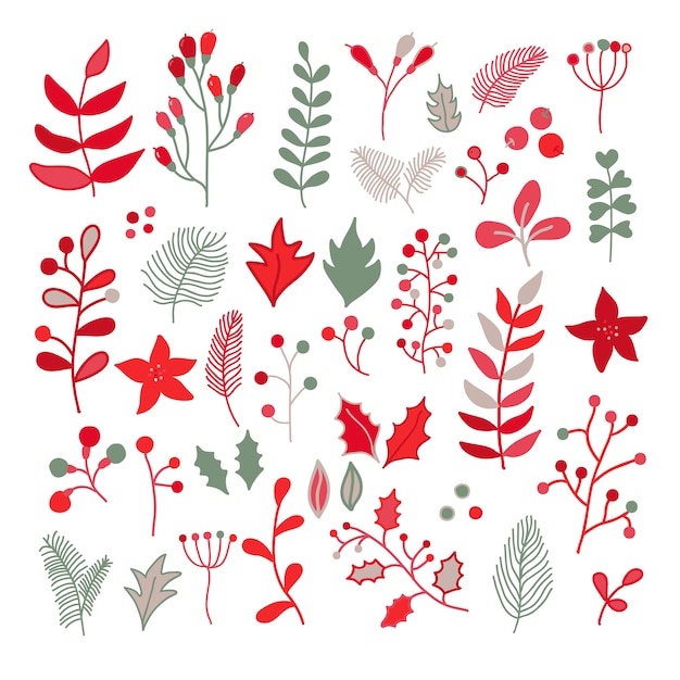 Conjunto de dibujo floral vector de Navidad