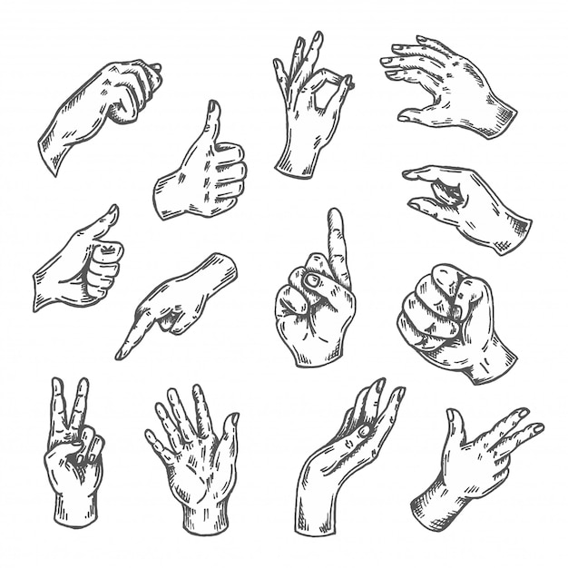 Vector conjunto de dibujo de gesto de mano