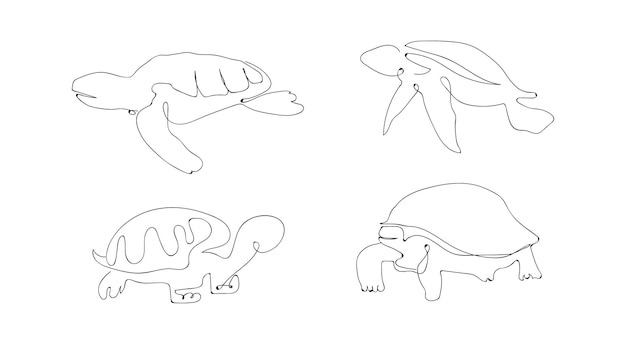 Conjunto de dibujo de línea de tortuga
