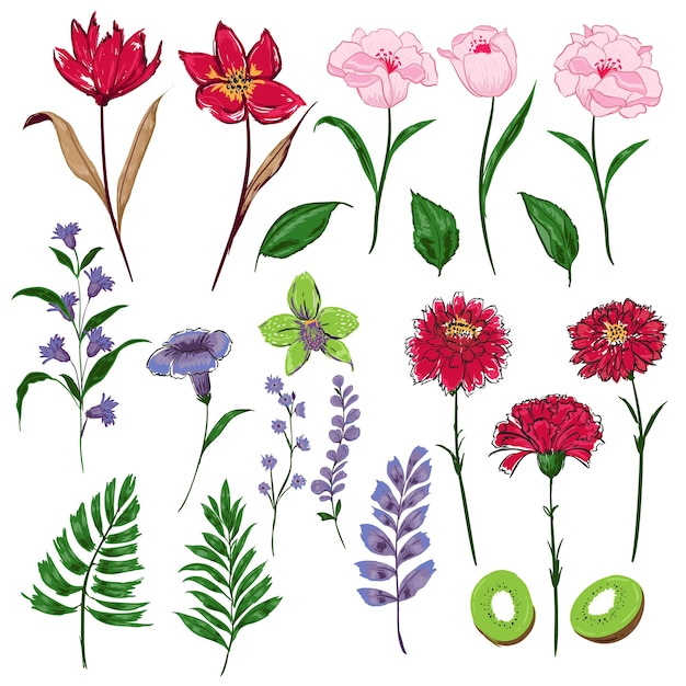 Vector conjunto de dibujo a mano flores de jardín saludo floral