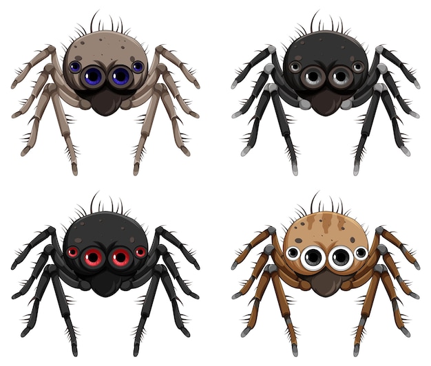 Vector conjunto de dibujos animados de araña aislado