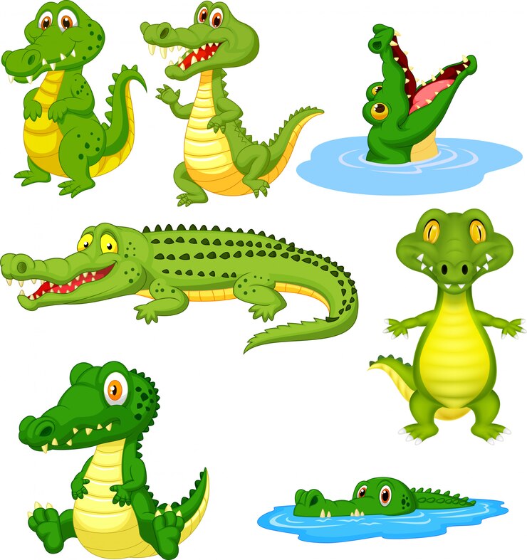 Vector conjunto de dibujos animados cocodrilo verde conjunto