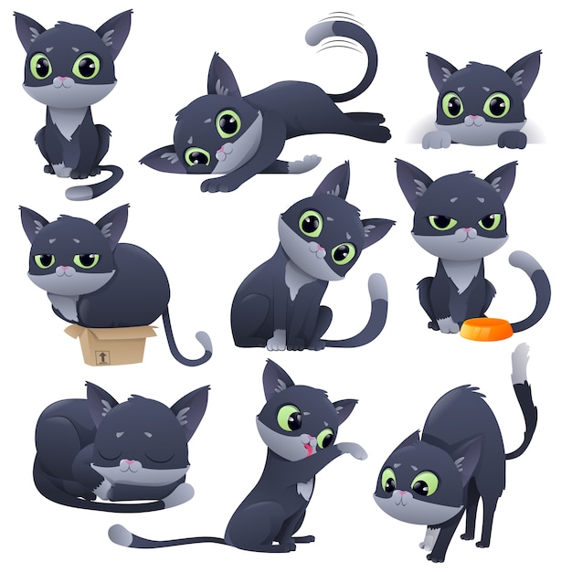 Conjunto de dibujos animados divertido gatito lindo