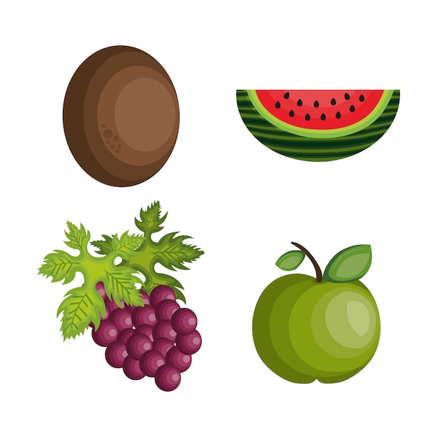 Conjunto de dibujos animados frutas diseño tropical