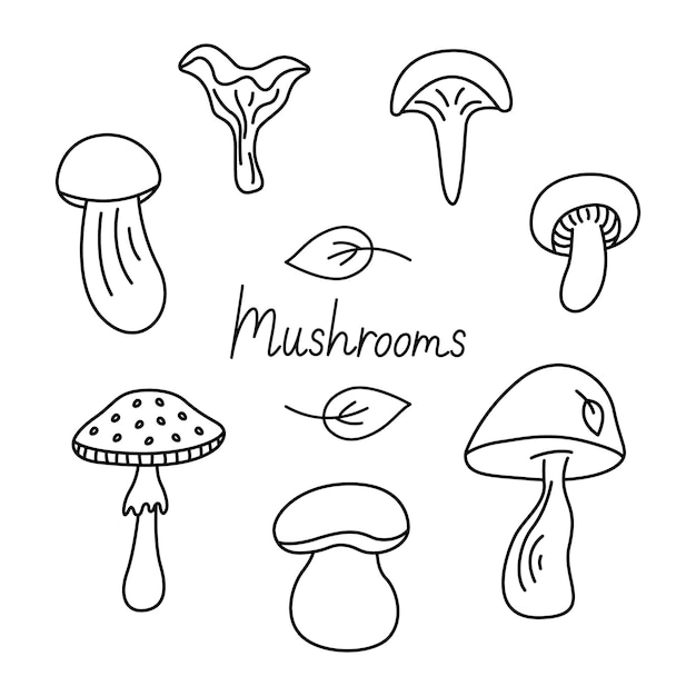 Conjunto de dibujos animados de garabatos maravillosos de hongos Diferentes tipos de colección de otoño de hongos Contorno negro
