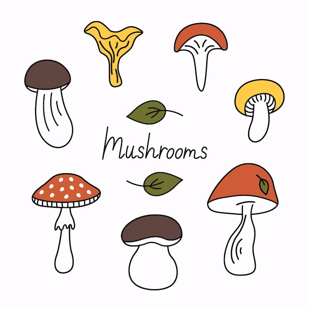 Conjunto de dibujos animados de garabatos maravillosos de hongos Diferentes tipos de colección de otoño de hongos Contorno negro