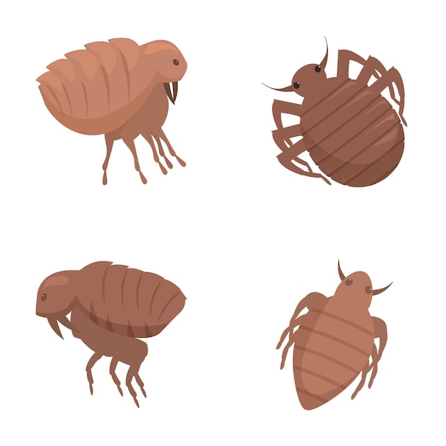 Conjunto de dibujos animados de insectos de cama