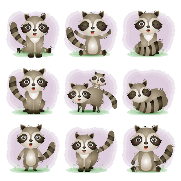 Vector conjunto de dibujos animados de vector de lindo mapache