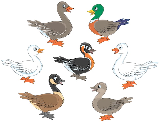 Vector conjunto de dibujos animados de vector de patos y gansos