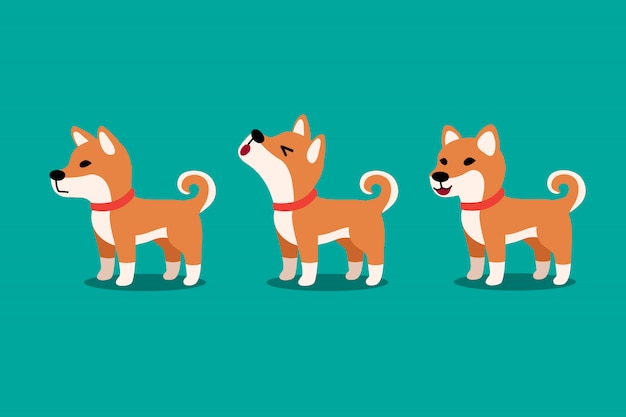 Conjunto de dibujos animados de vectores lindo personaje shiba inu perro plantea