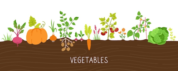 Conjunto de dibujos animados de verduras en tierra