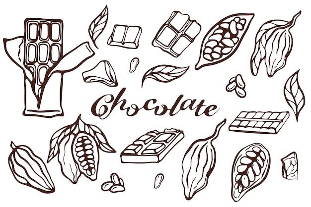 Conjunto de dibujos de chocolate de cacao Parte de la planta de cacao Hojas de frijoles de cacao Letra de barra de chocolate