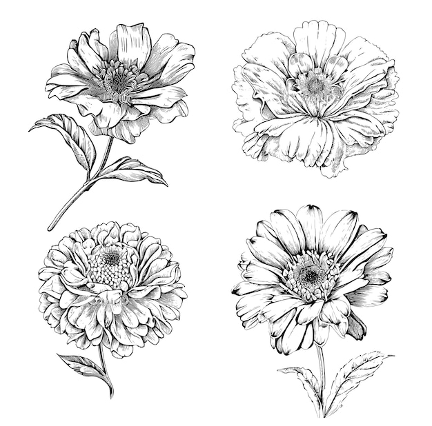 Un conjunto de dibujos de flores con el número 3