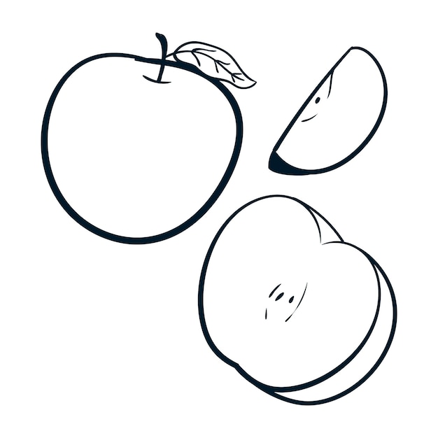 El conjunto de dibujos de frutas de manzana Vector Apple Scribbles Iconos de doodle Vector de manzana