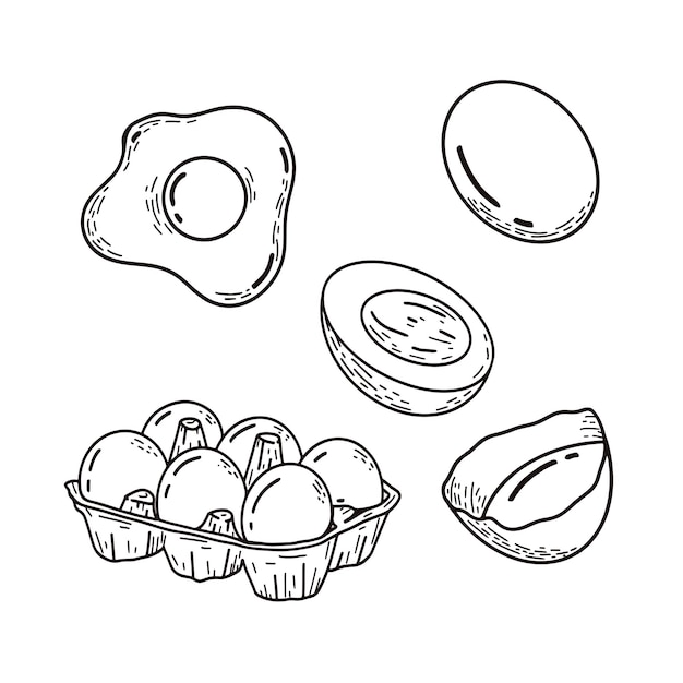 Vector conjunto de dibujos de huevos