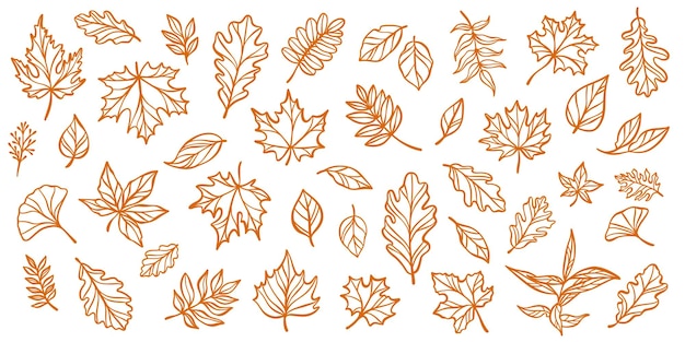 El conjunto de dibujos ilustrados de la hoja de otoño