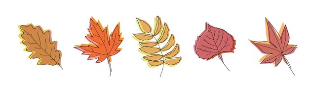 Conjunto de dibujos a mano con contornos de hojas de otoño elementos vectoriales de color en fondo blanco diferentes tipos de hojas técnica de boceto perfecto para colorear páginas pegatinas arte de líneas simples