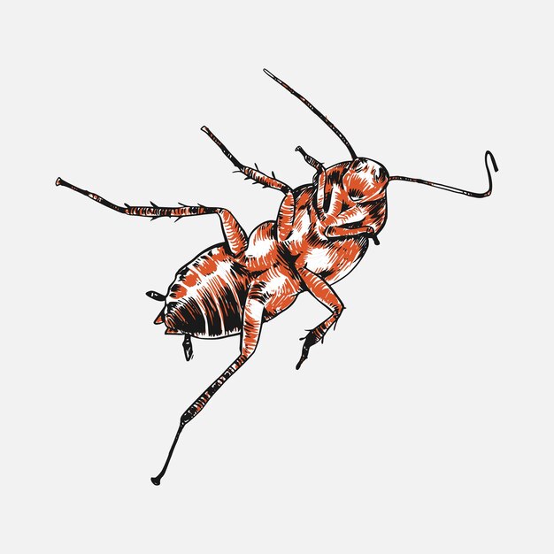 Conjunto de dibujos a mano de cucarachas muertas dibujo boceto fondo aislado ilustración vectorial