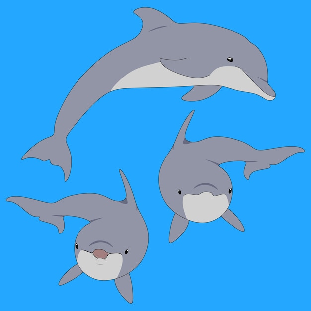 conjunto de dibujos vectoriales con tres delfines en un fondo azul