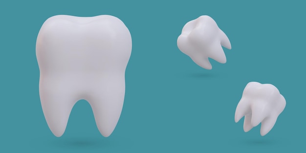 Vector conjunto de dientes angulares realistas vista molar blanca y saludable desde diferentes lados