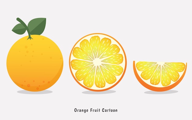 conjunto de diferentes ángulos de vector de dibujos animados de frutas de naranja