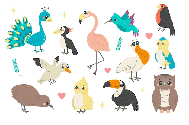 Vector conjunto de diferentes aves una ilustración infantil con nombres de primavera aves exóticas