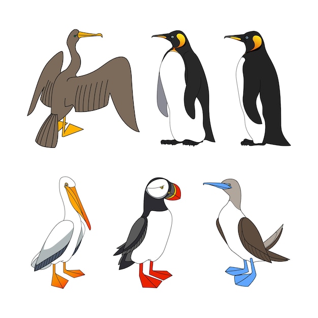 Vector un conjunto de diferentes aves marinas cormorán emperador pingüino pelícano frailecillo alcatraz