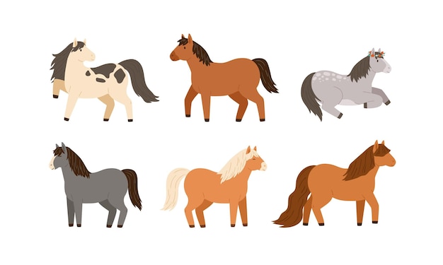 Conjunto de diferentes caballitos lindos. Colección de adorable pony infantil. Ilustración de dibujos animados de vector plano de hermosos animales de granja domésticos aislados sobre fondo blanco.
