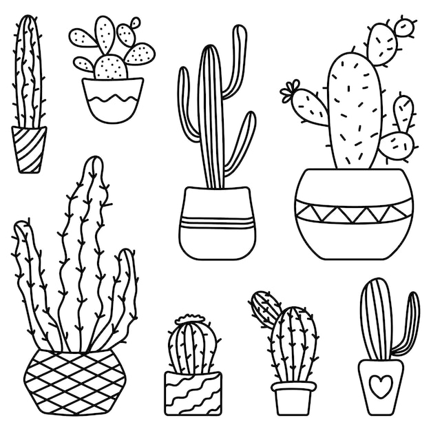 conjunto de diferentes cactus dibujados a mano en macetas aislados sobre un fondo blanco