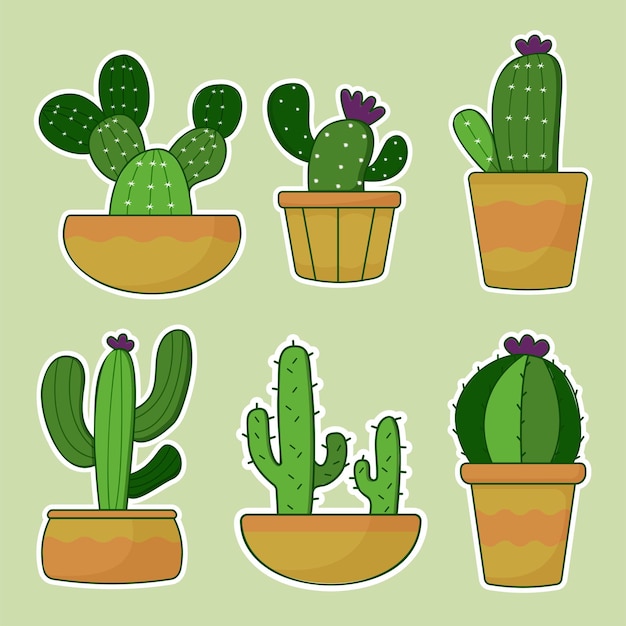 Vector conjunto de diferentes cactus verdes en maceta dibujo sobre fondo blanco.