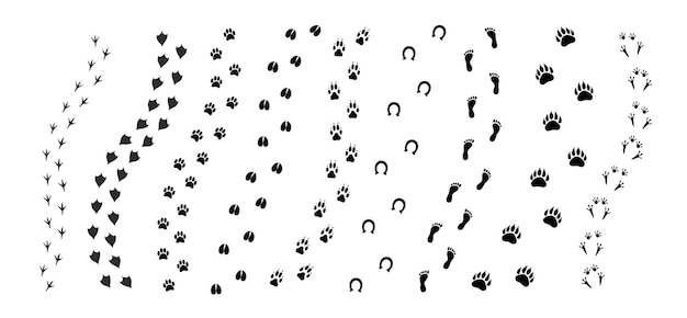 Conjunto de diferentes caminos de huellas de animales aislado sobre fondo blanco.